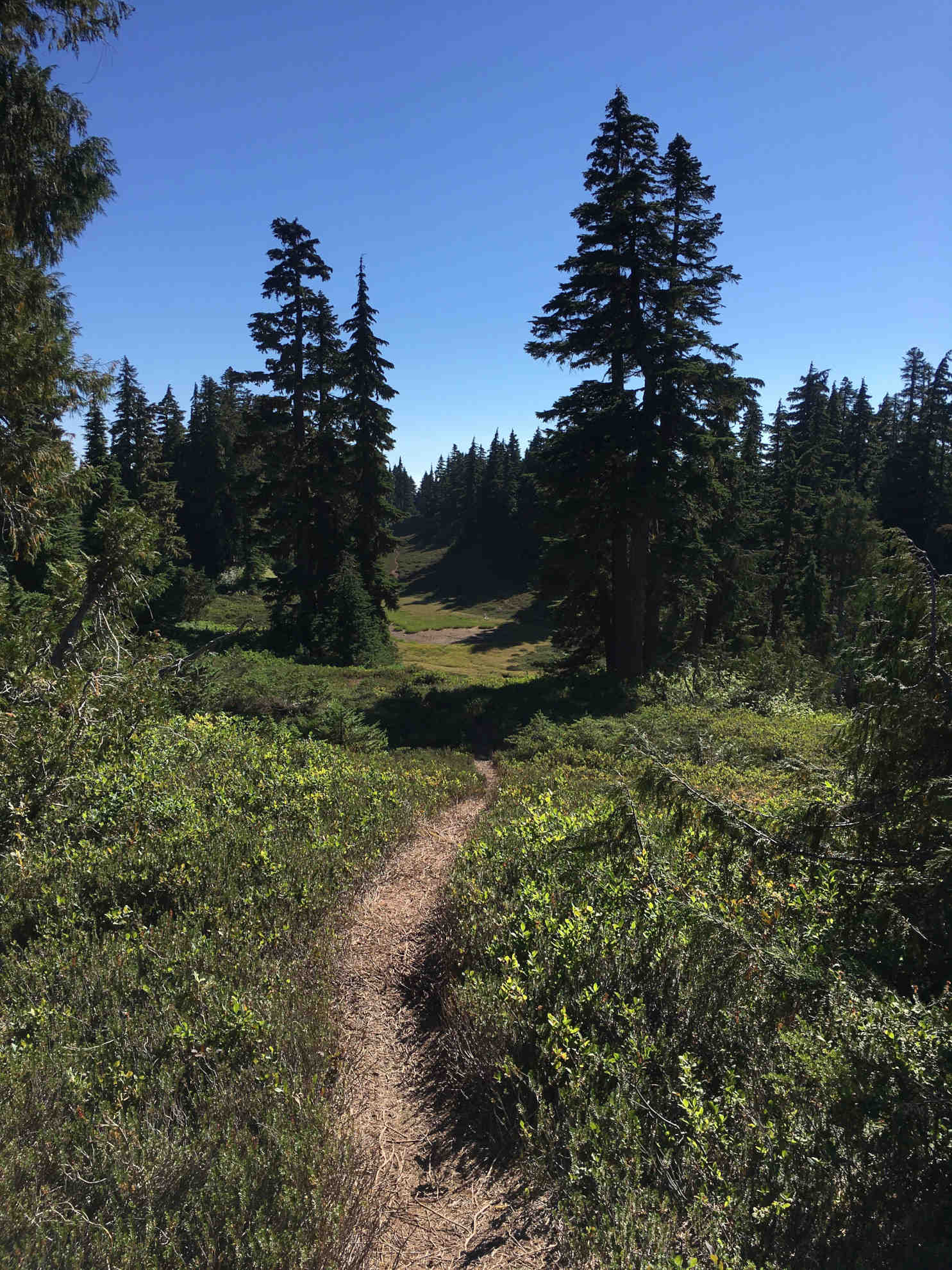 Choosing a bike trail for a data acquisition day